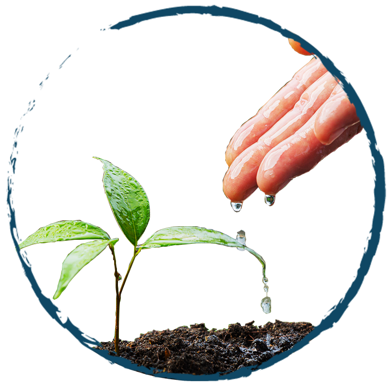 West Eastern Agro Sri Lanka