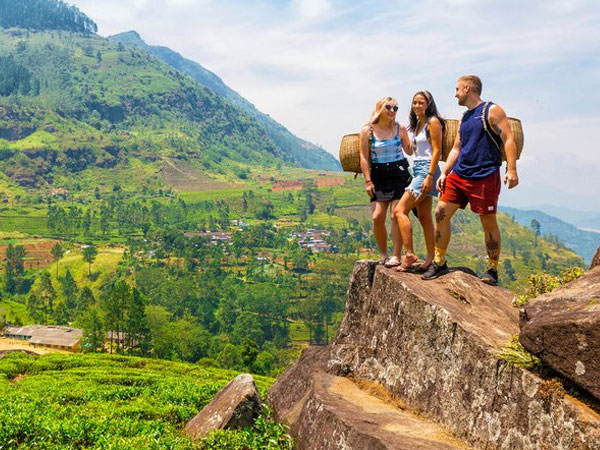 West Eastern Domestic Tours